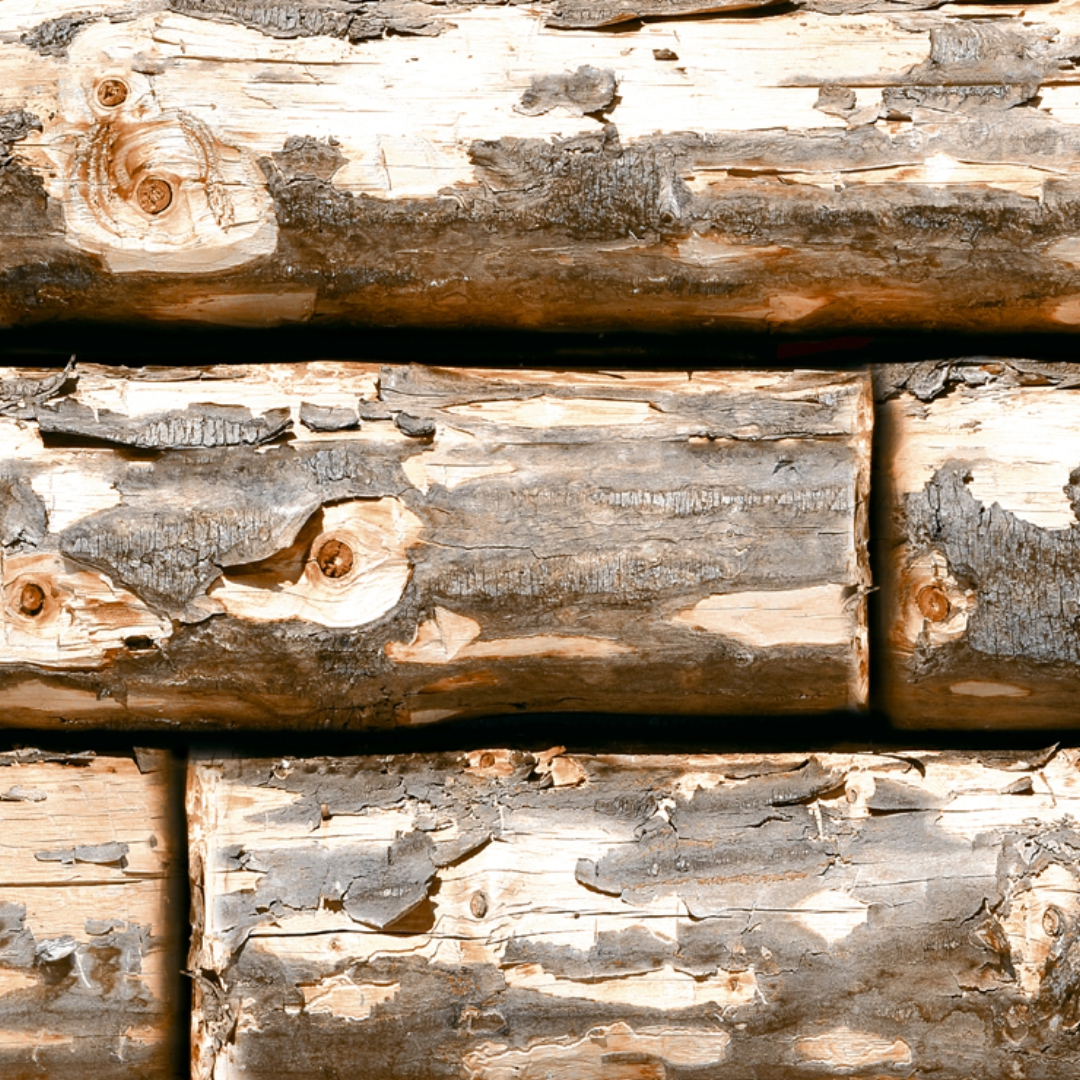 EL-2103 - Elevation Ceramic Wall Tiles - Image 2